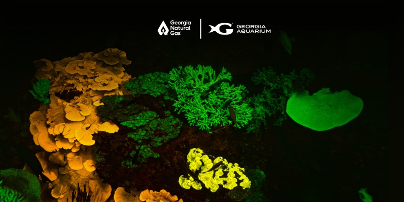 Greener and orange reefs on a dark background with white GNG and GA Aquarium logos