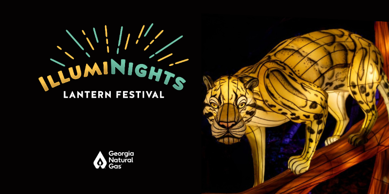 Jaguar lantern with Illuminights logo