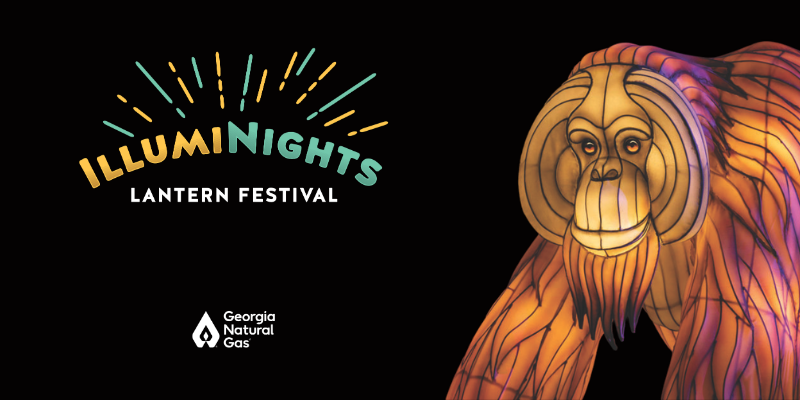 Gorilla lantern with Illuminights logo