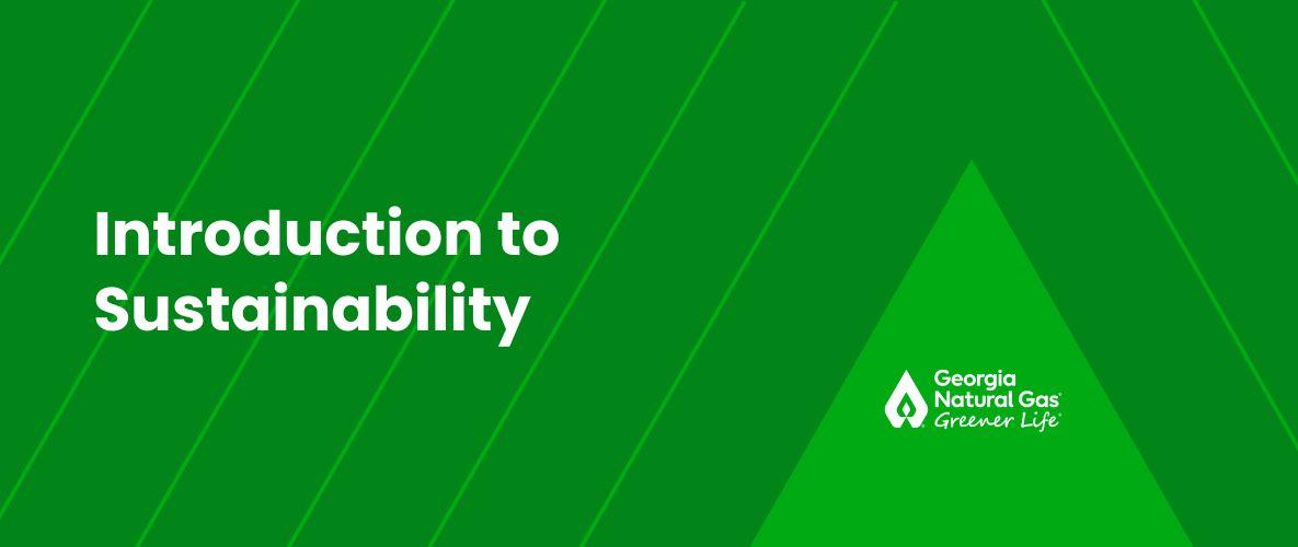 white text on green lined background that reads Introduction to Sustainability