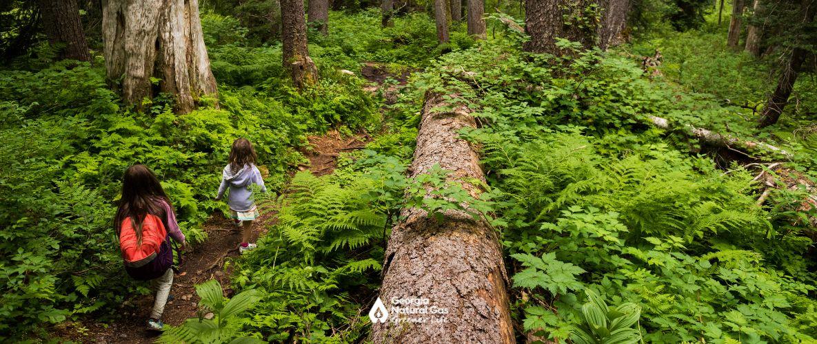 kids hiking in woods near fallen tree