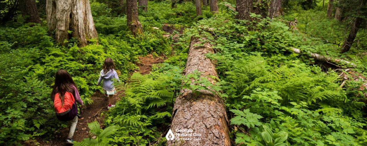 kids hiking in woods near fallen tree